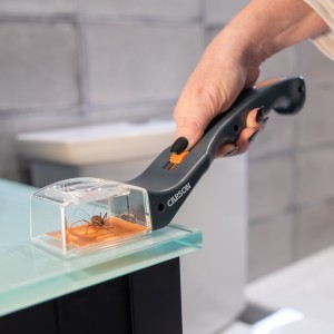CARSON Attrape insecte avec loupe 