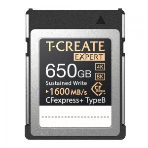 CFexpress 2.0 PLUS Type B 650Gb